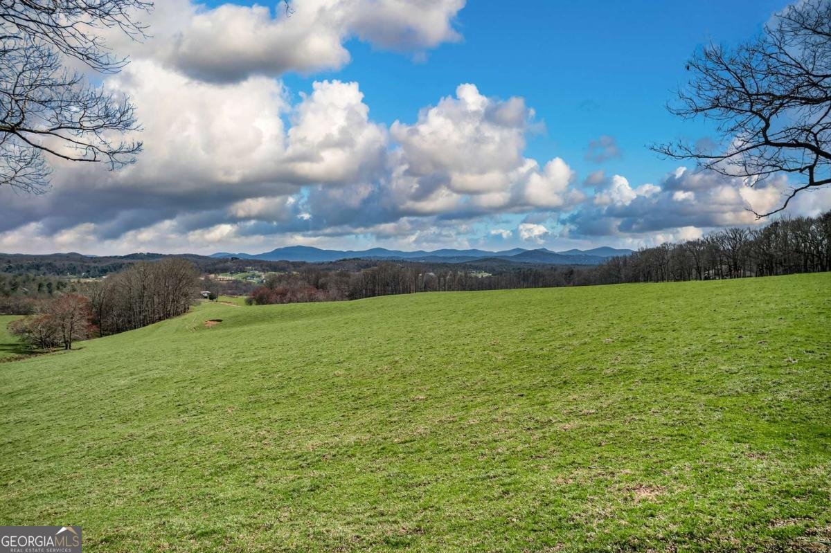 35 Laurel Mountain Estates Drive N Blairsville - Photo 7