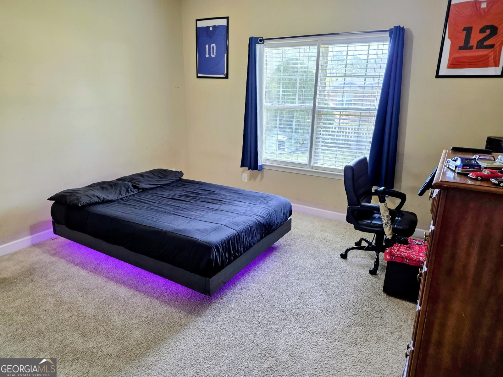 503 Retriever Court Statesboro - Photo 18