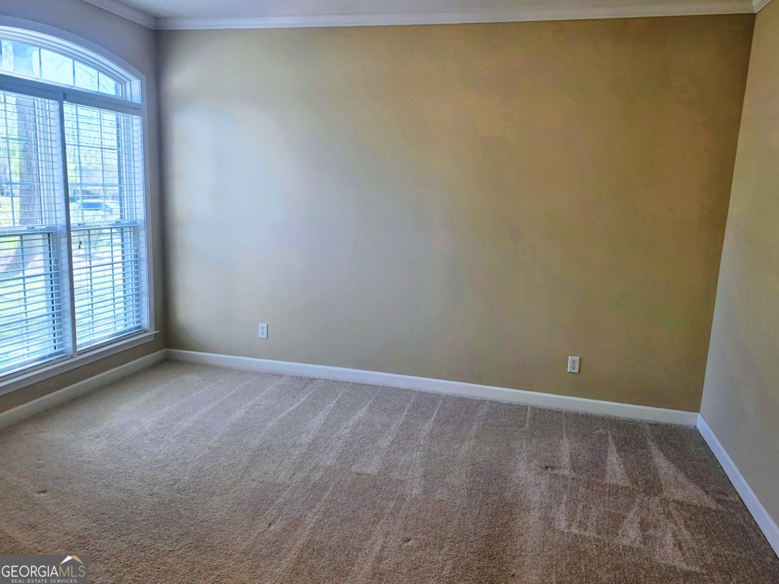 503 Retriever Court Statesboro - Photo 9