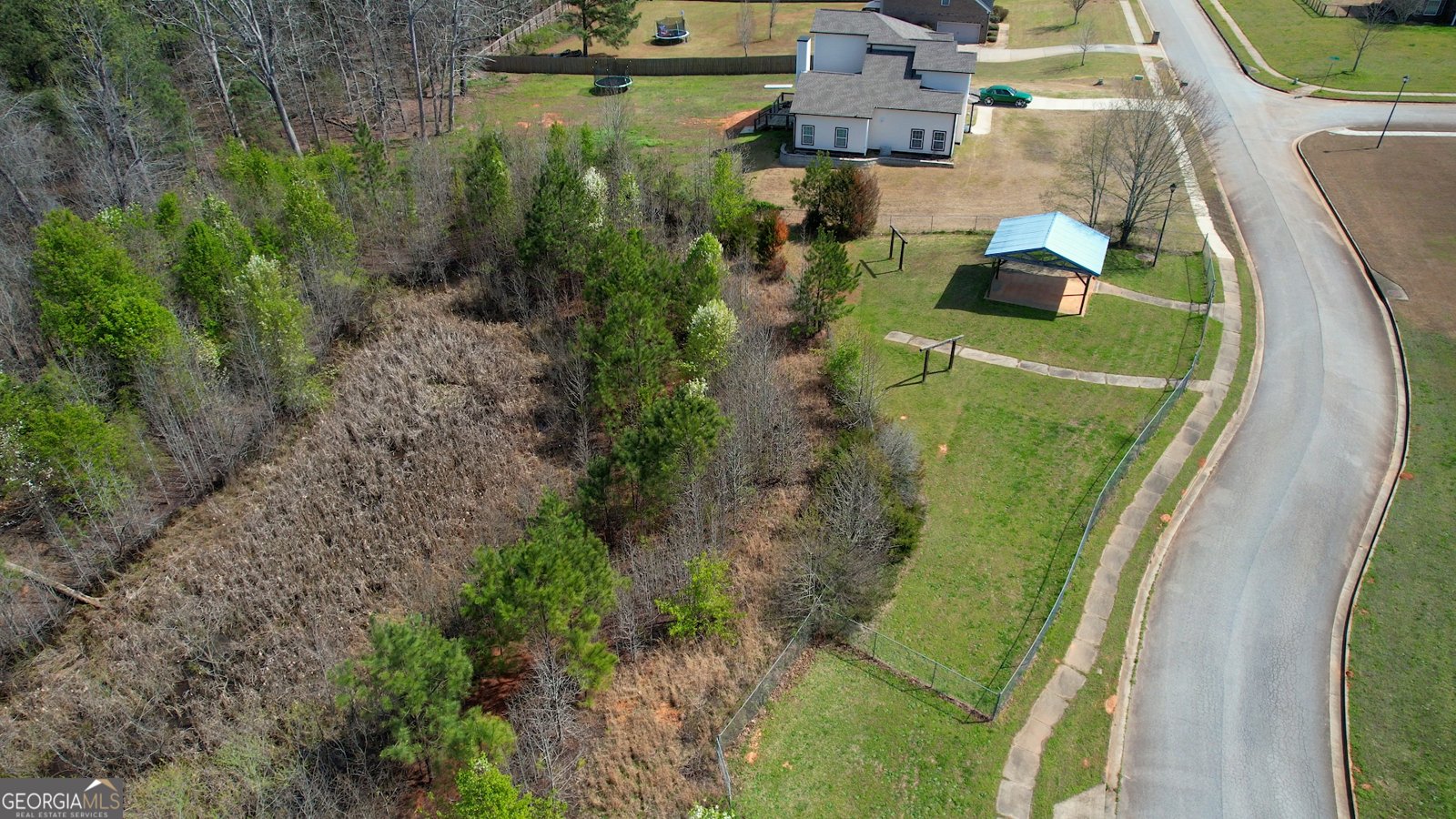 452 Trousseau Lane McDonough - Photo 77