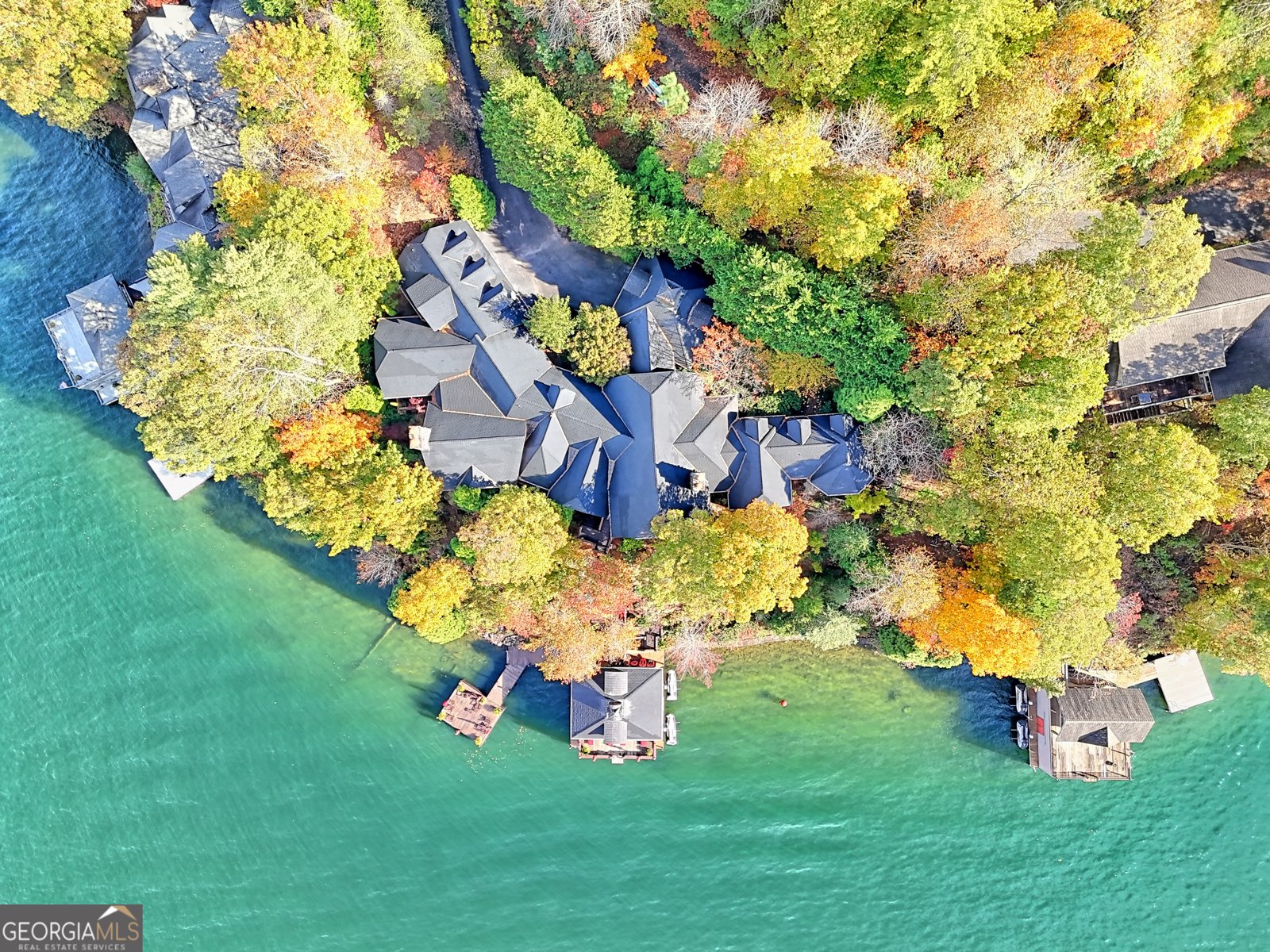 50 Point Morgan Lane Tiger - Photo 6