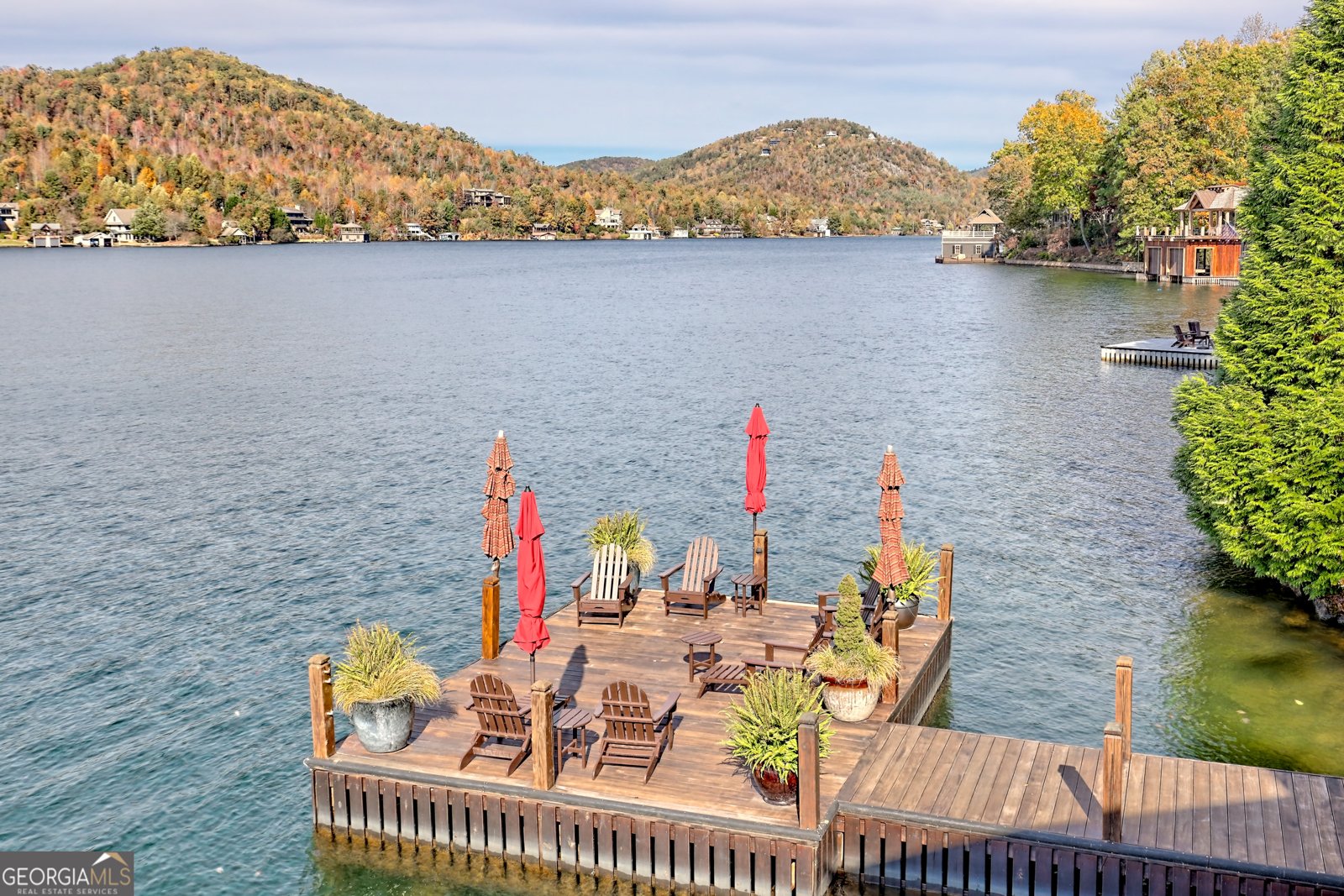 50 Point Morgan Lane Tiger - Photo 75