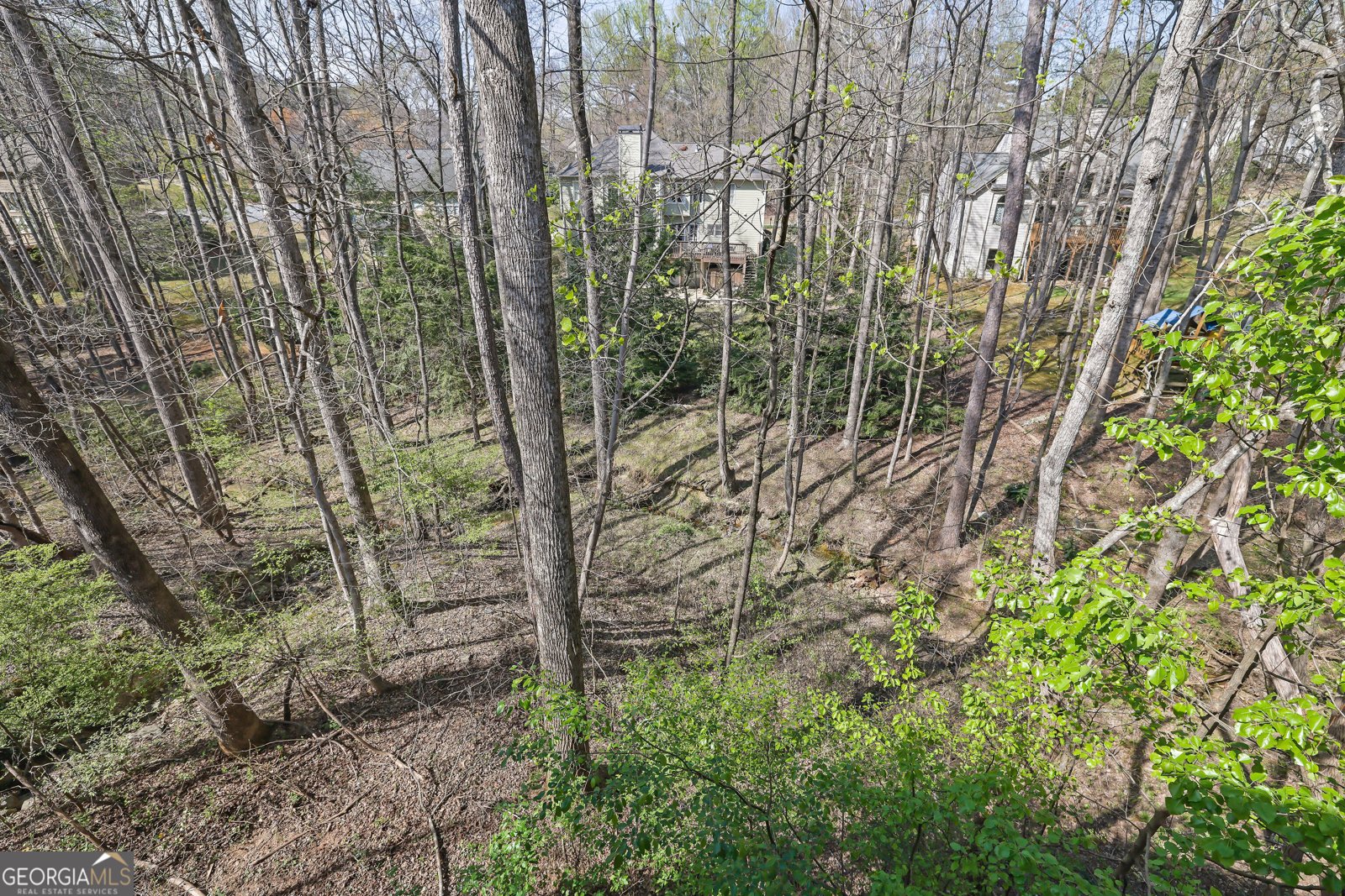 375 White Rose Trace Alpharetta - Photo 46