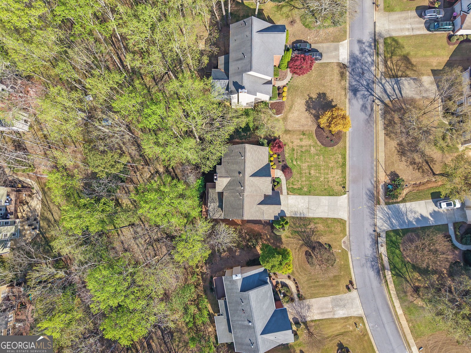 375 White Rose Trace Alpharetta - Photo 52