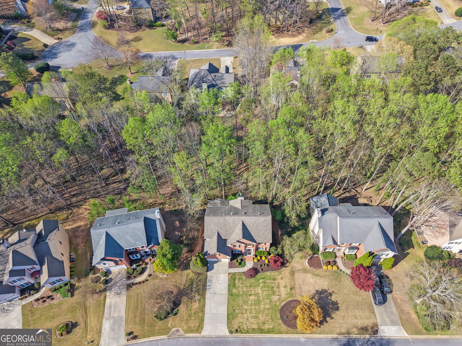 375 White Rose Trace Alpharetta - Photo 53