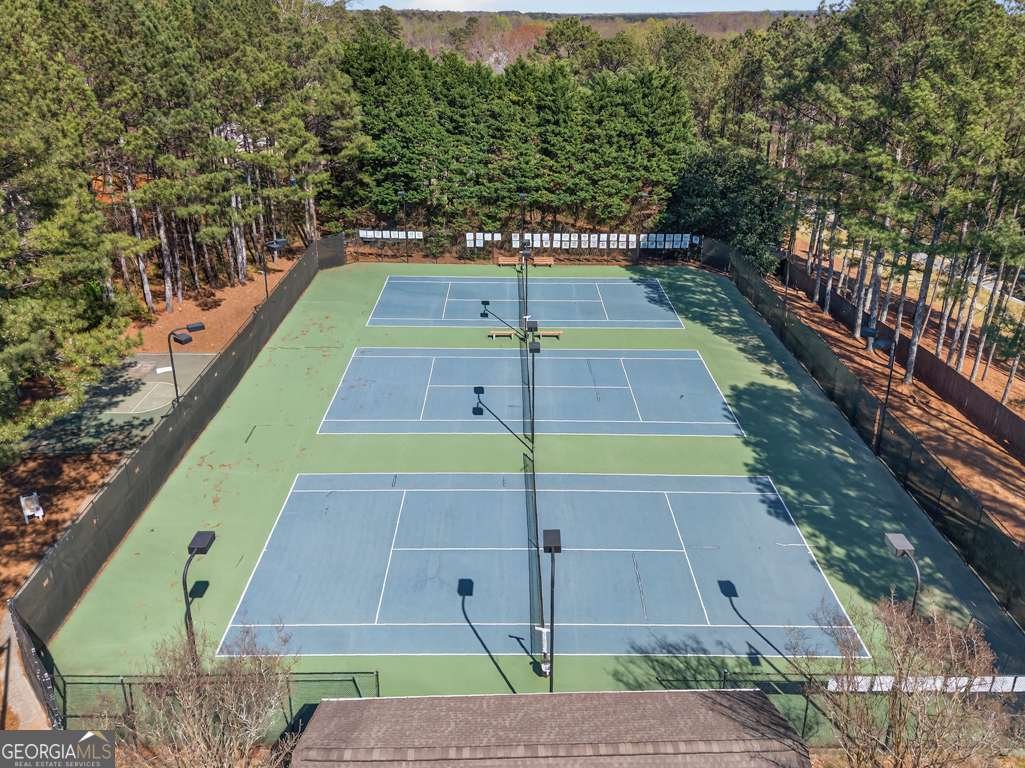 2864 Misty Rock Cove Dacula - Photo 59