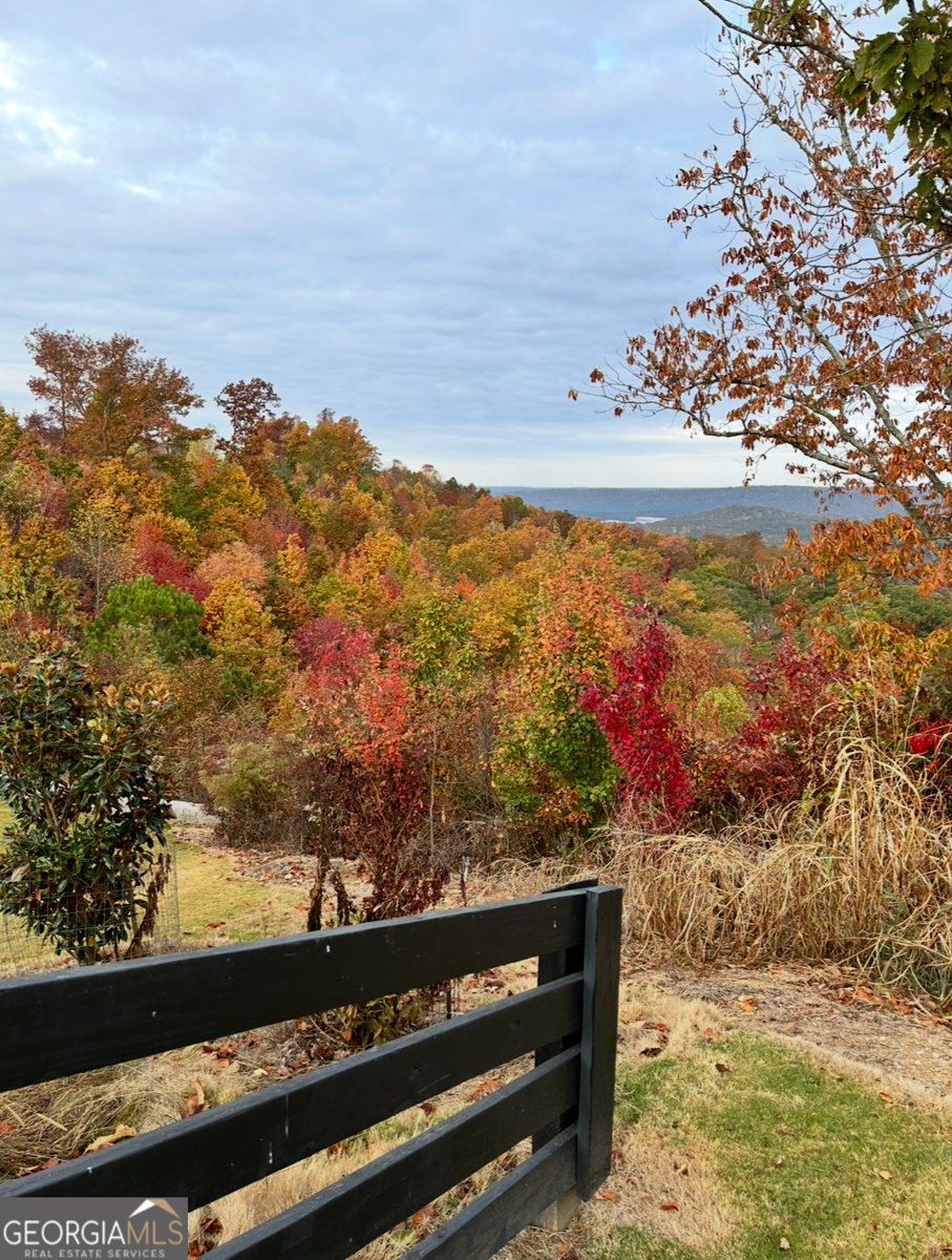 51 County Road 1024 Cedar Bluff - Photo 76