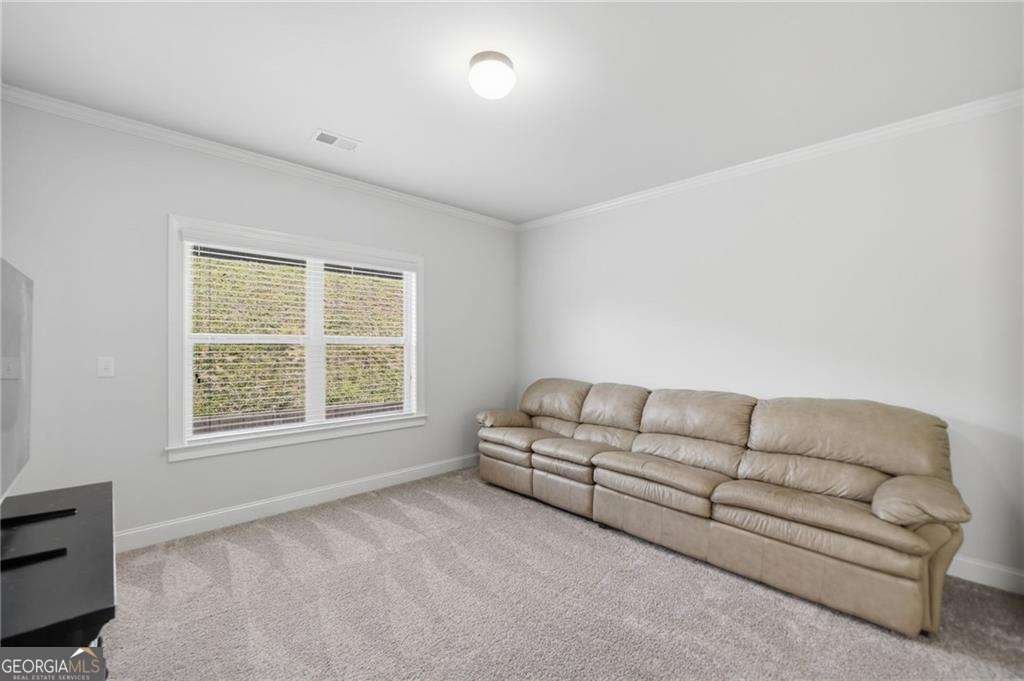 5560 Mirror Lake Drive Cumming - Photo 38