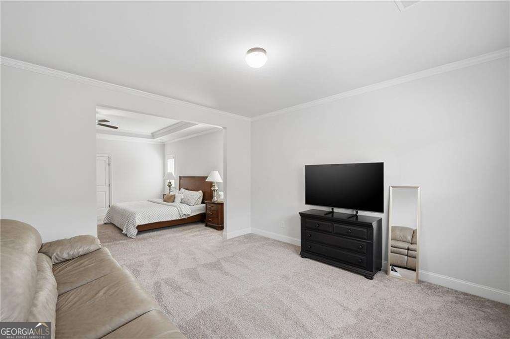 5560 Mirror Lake Drive Cumming - Photo 39