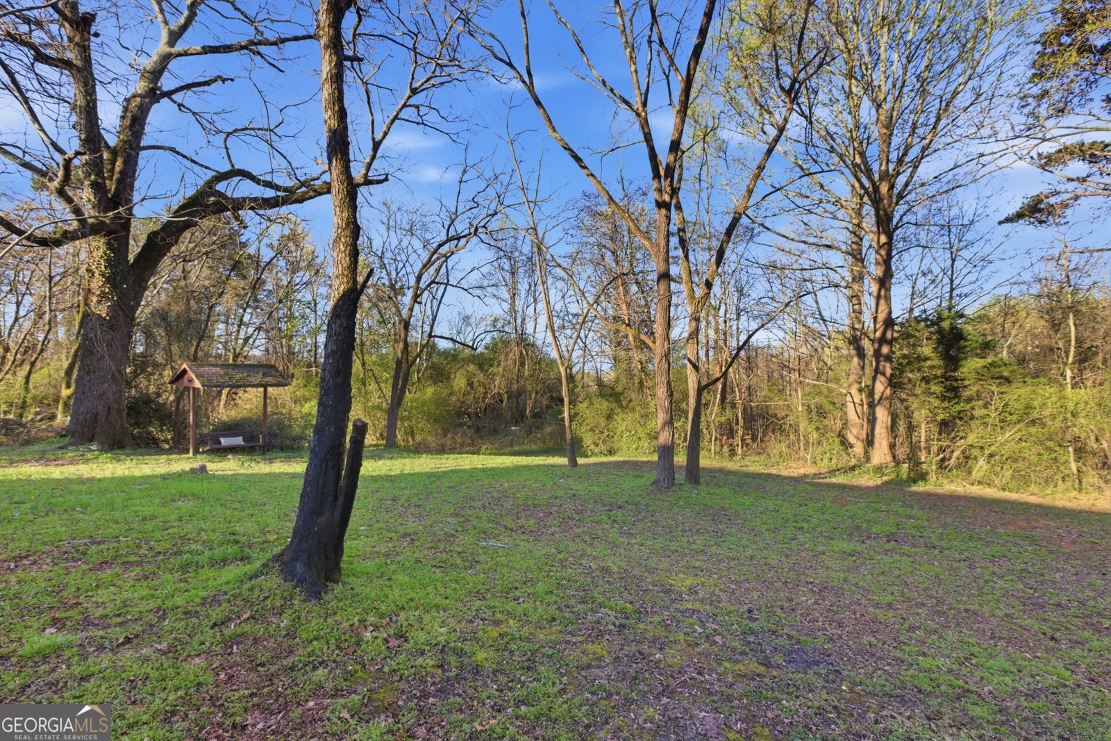 723 Gainesville Highway Alto - Photo 7