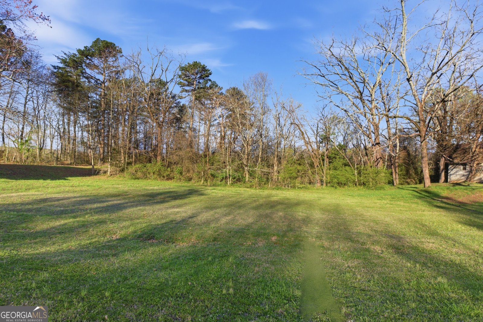 723 Gainesville Highway Alto - Photo 8