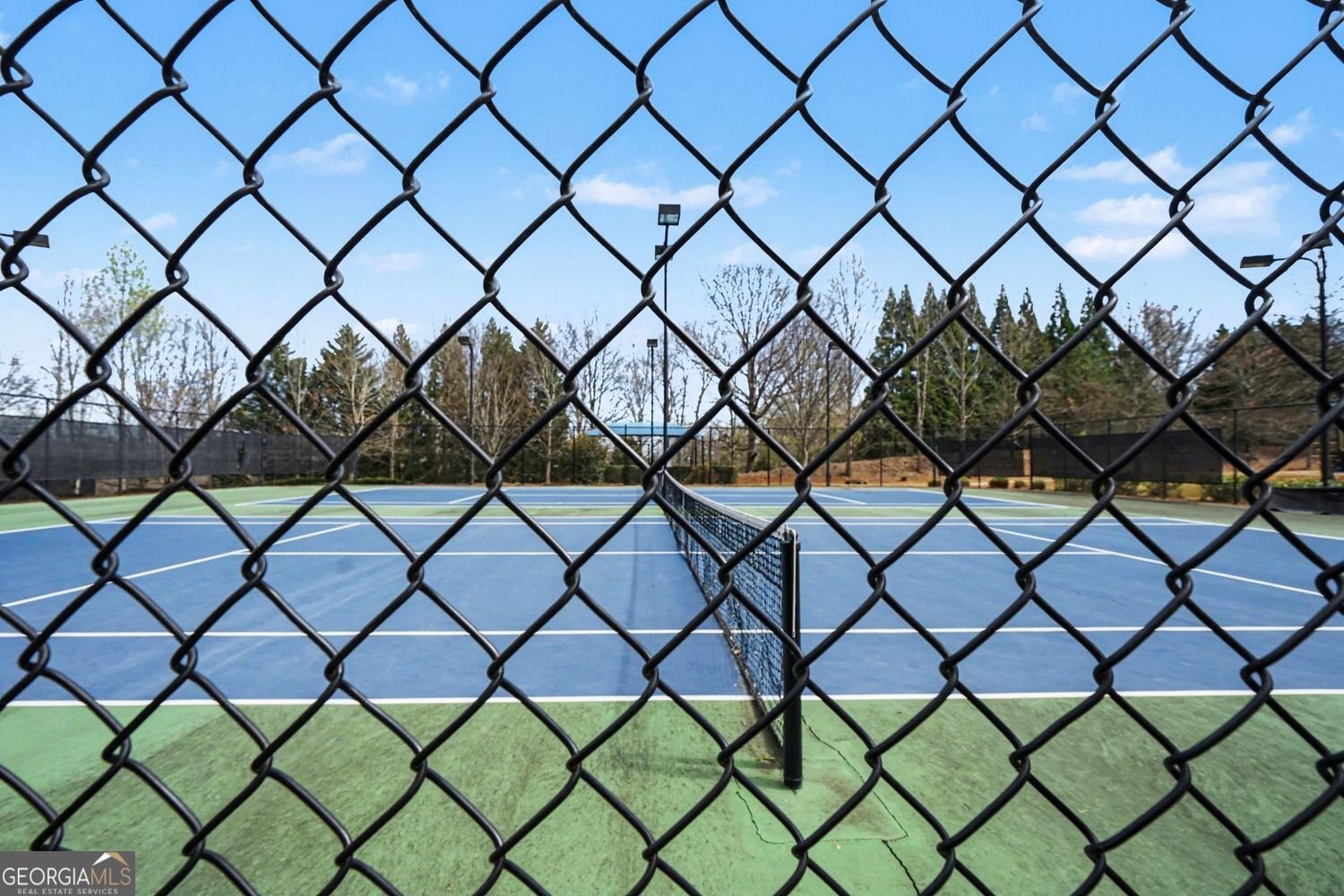 3575 Spring Place Court Loganville - Photo 32