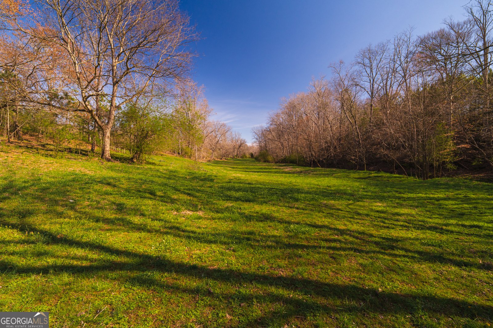 723 Sulphur Springs Road Fairmount - Photo 56