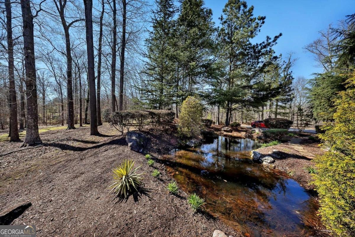 943 Newt Green Road Cumming - Photo 102