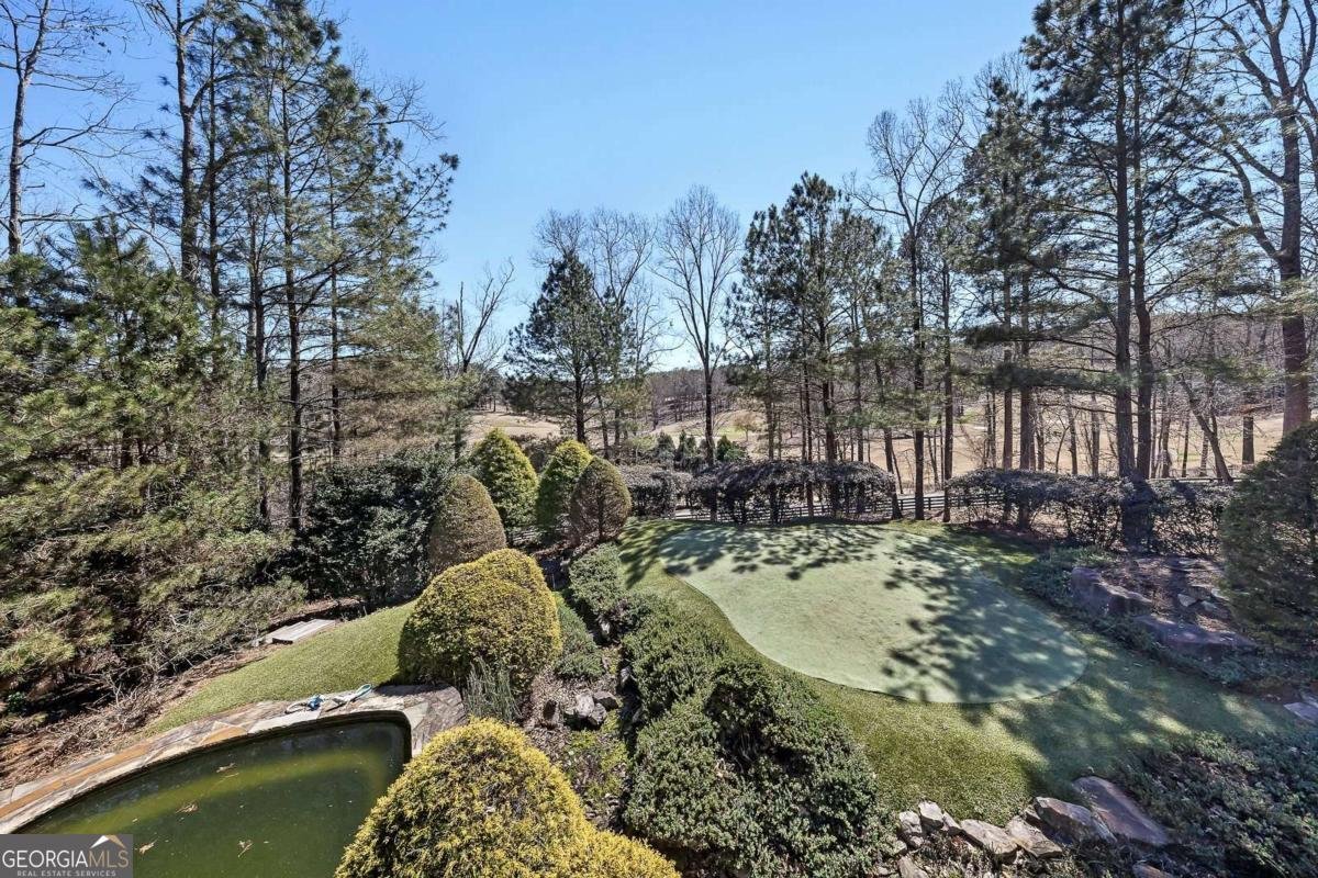 943 Newt Green Road Cumming - Photo 115