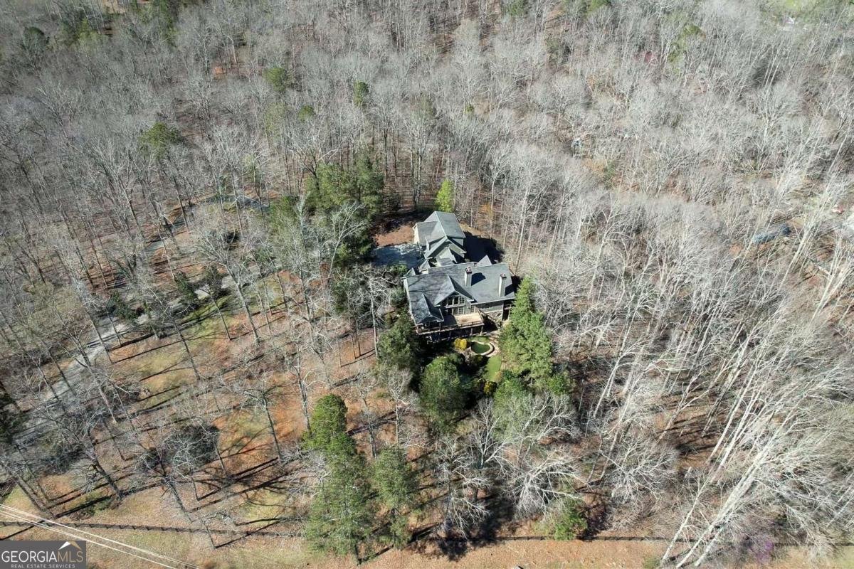 943 Newt Green Road Cumming - Photo 81