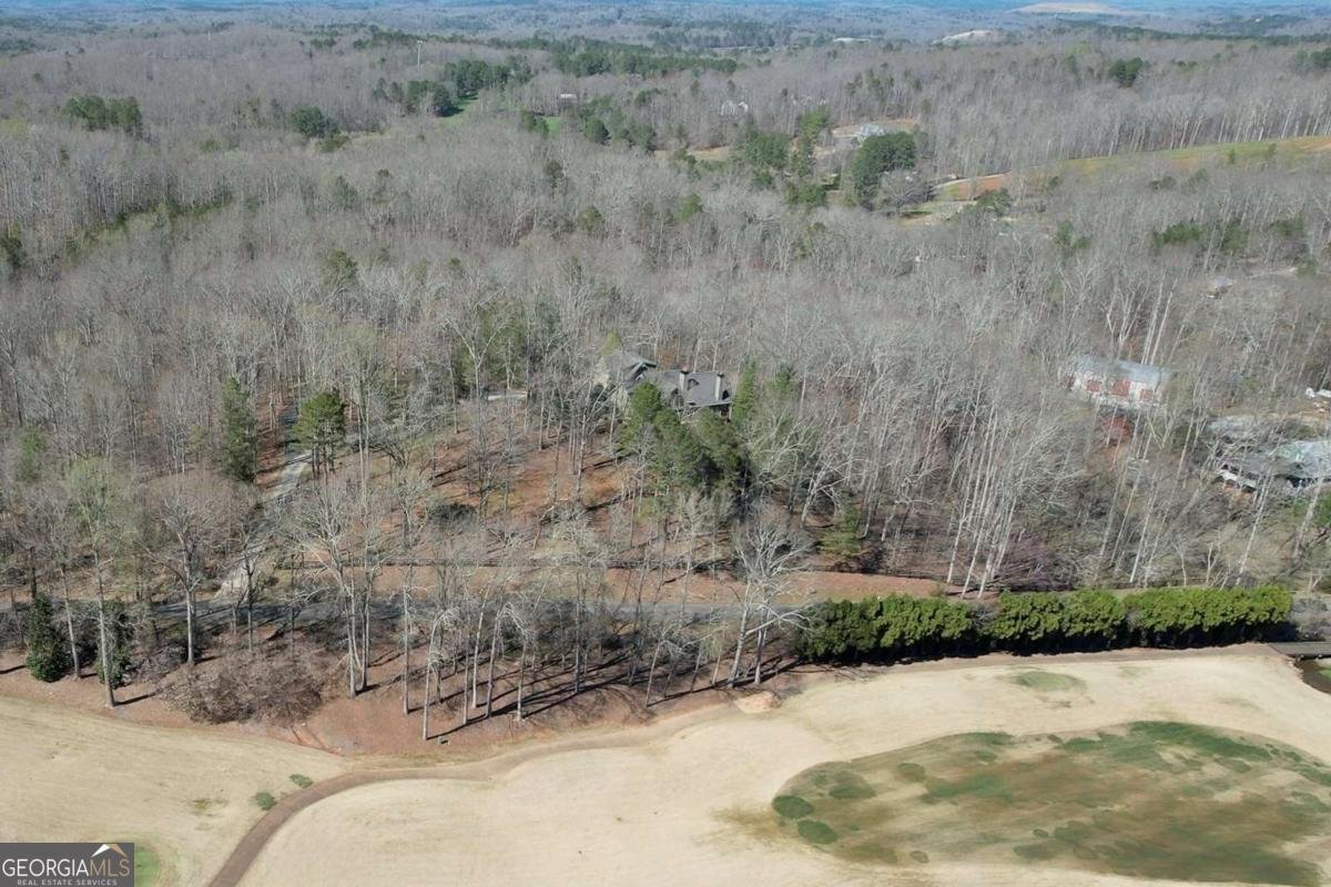 943 Newt Green Road Cumming - Photo 82