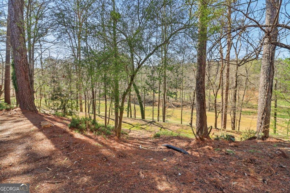 8840 Niblic Drive Alpharetta - Photo 59