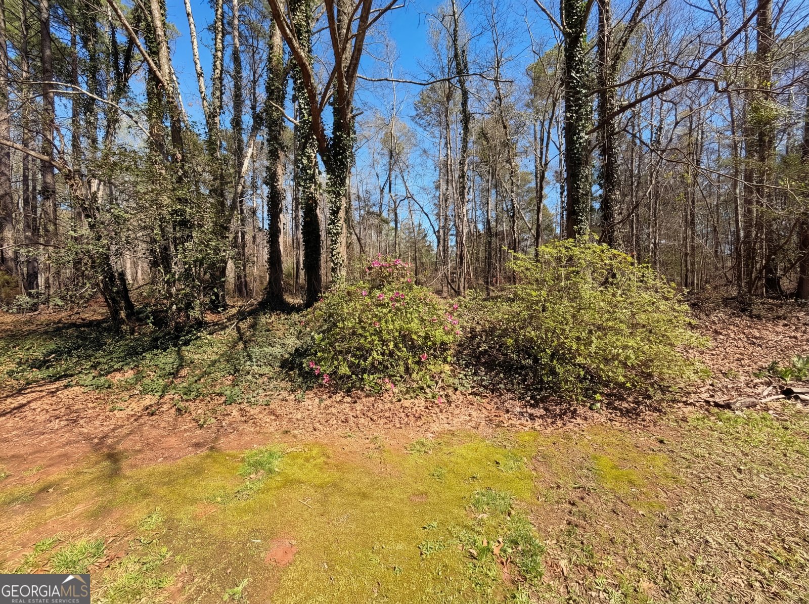 144 Dukes Road Jackson - Photo 24