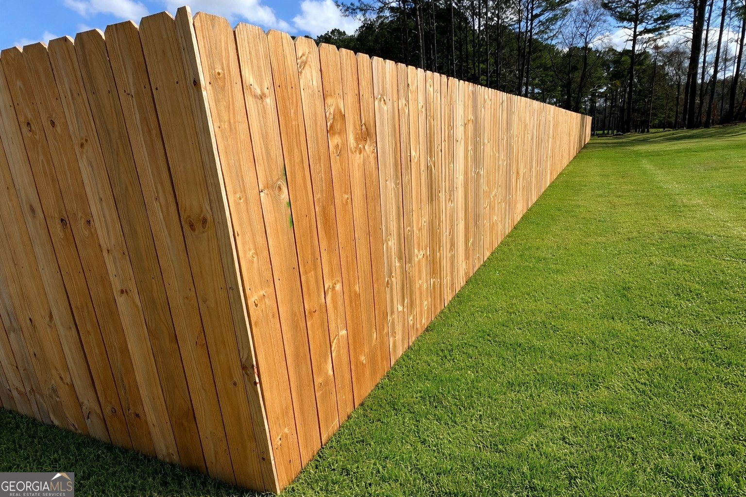 63 Whites Pond Road Moreland - Photo 12