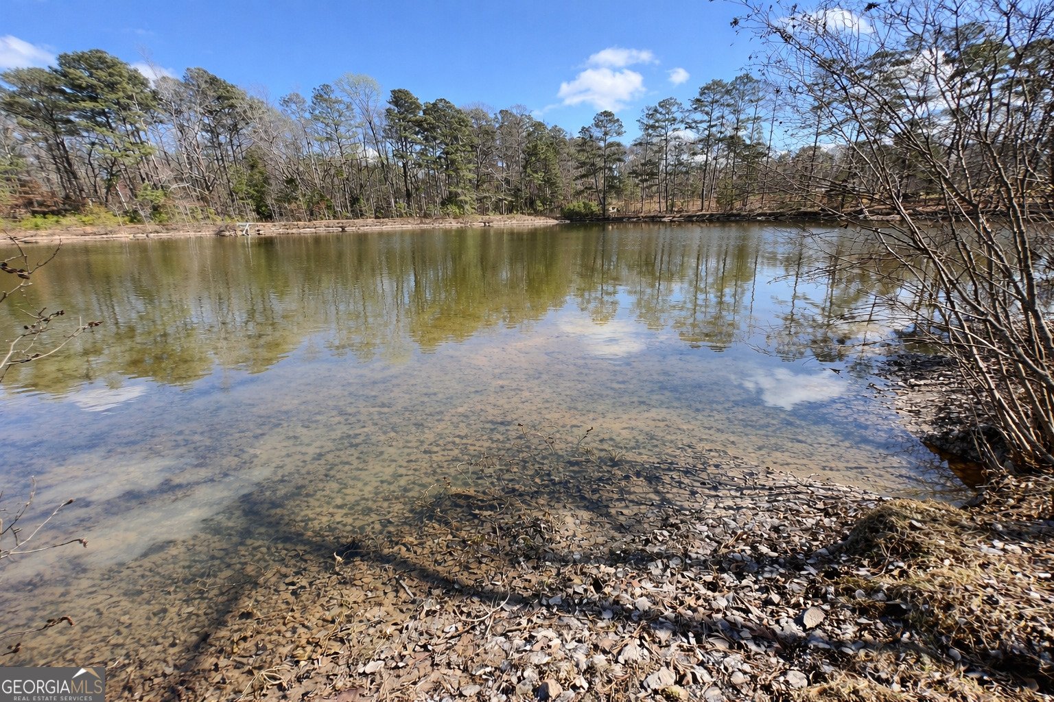 63 Whites Pond Road Moreland - Photo 43