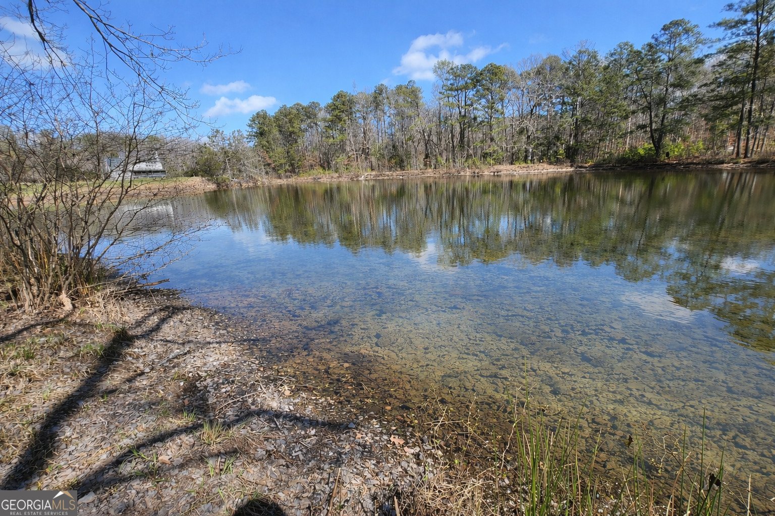 63 Whites Pond Road Moreland - Photo 44