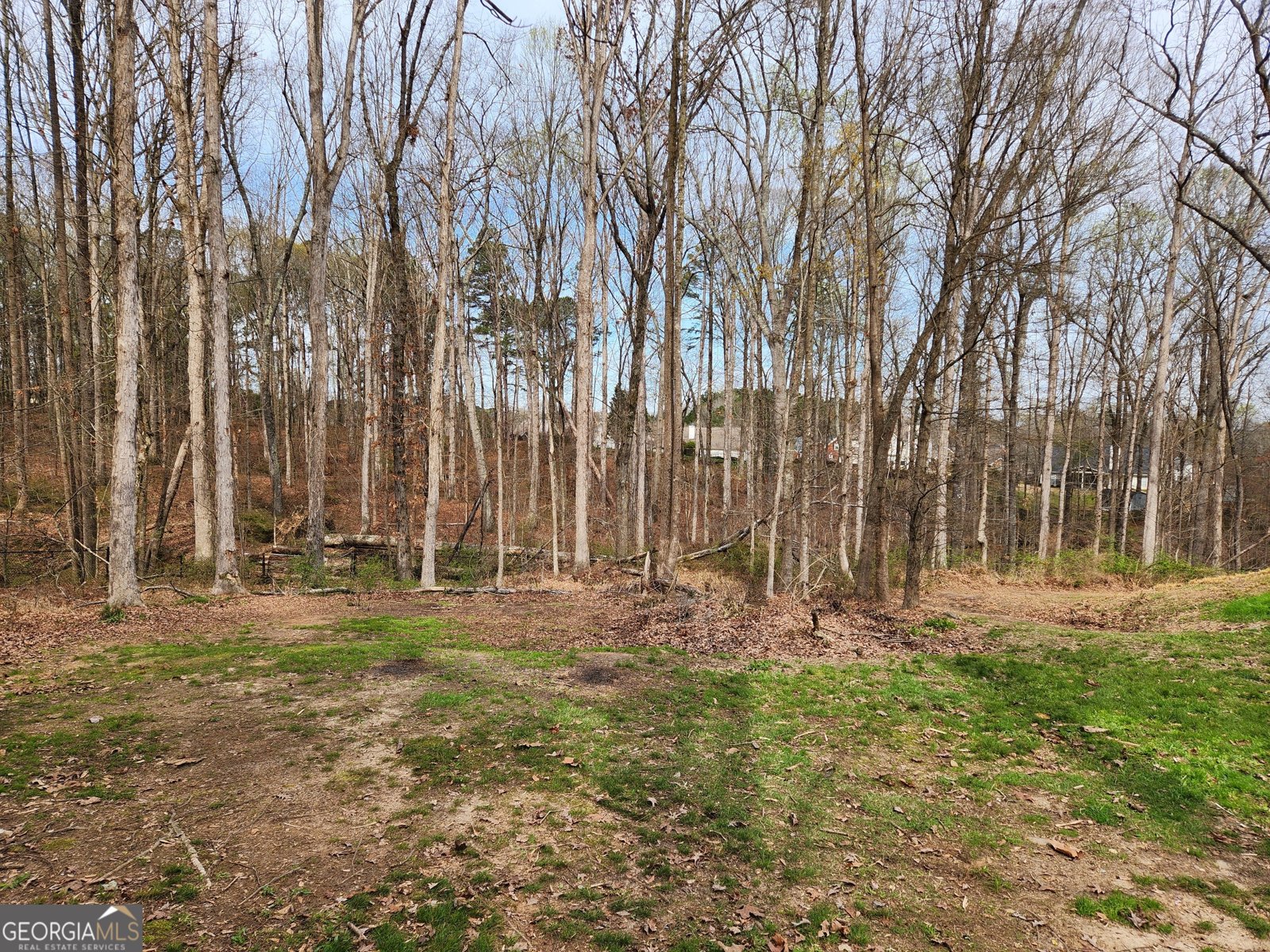 2511 Culpepper Trace Bethlehem - Photo 81