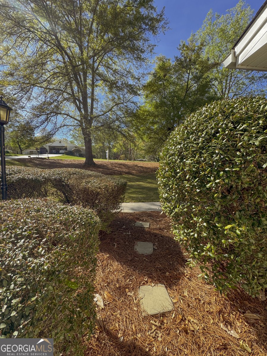 8774 Vansant Street Douglasville - Photo 67