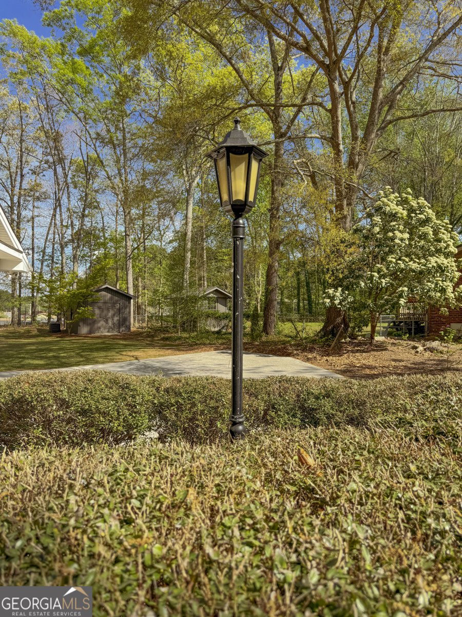 8774 Vansant Street Douglasville - Photo 68