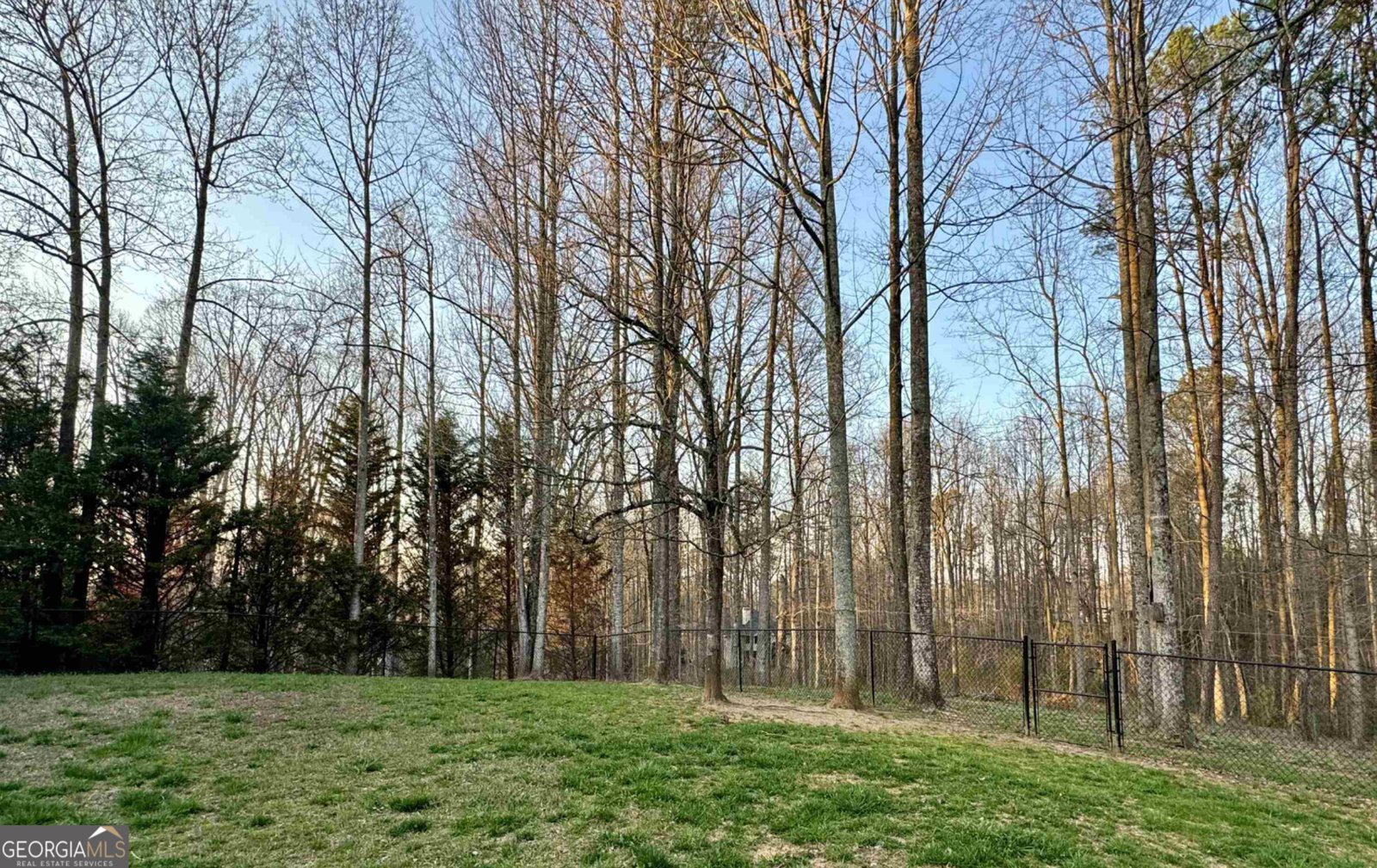 114 Springbrook Drive Cornelia - Photo 28