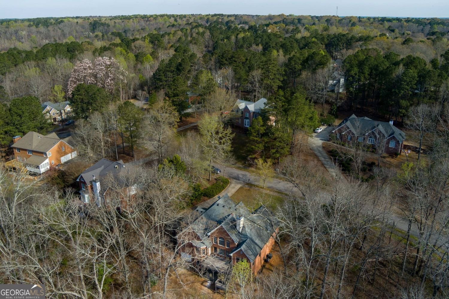 1081 Crown River Parkway McDonough - Photo 10