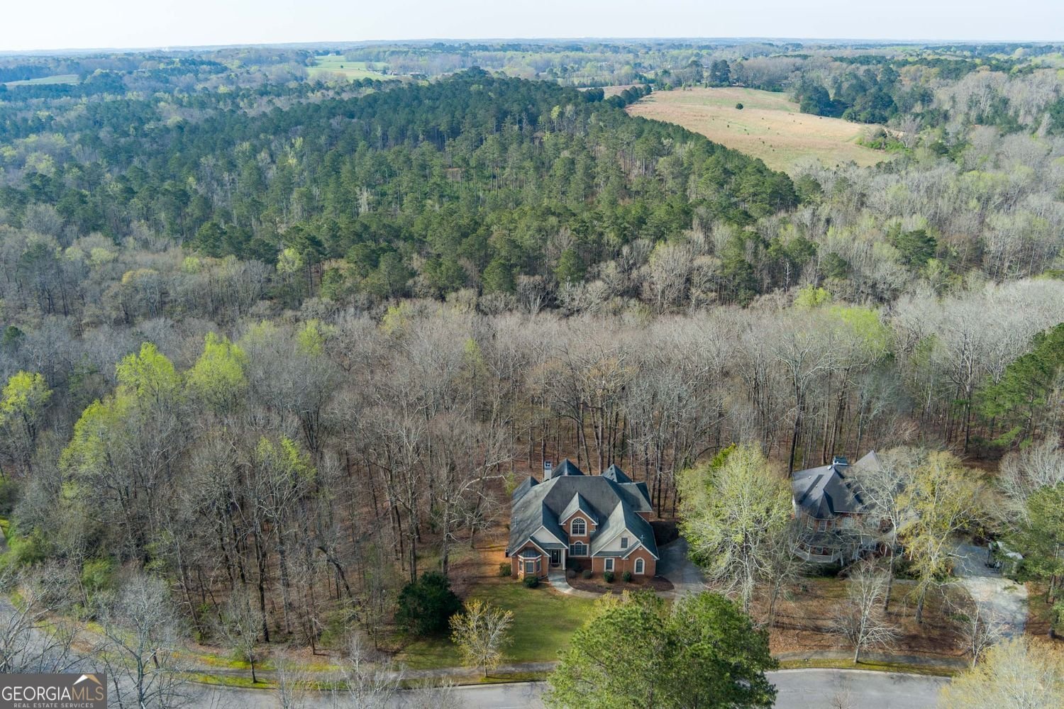 1081 Crown River Parkway McDonough - Photo 6