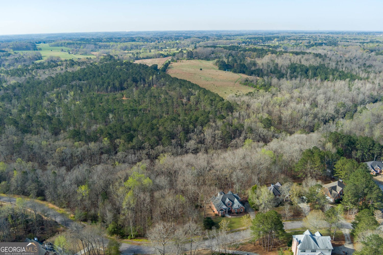 1081 Crown River Parkway McDonough - Photo 7