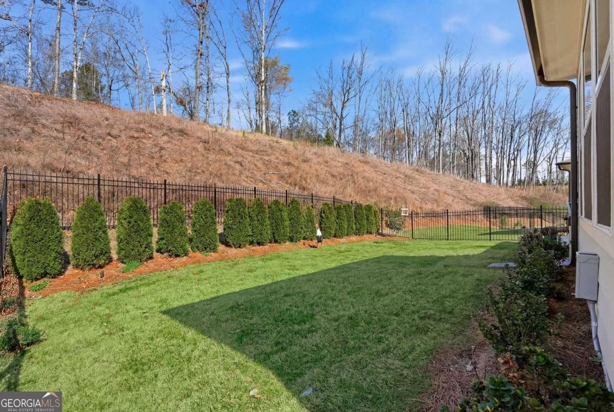 6742 Welcome Road Flowery Branch - Photo 32