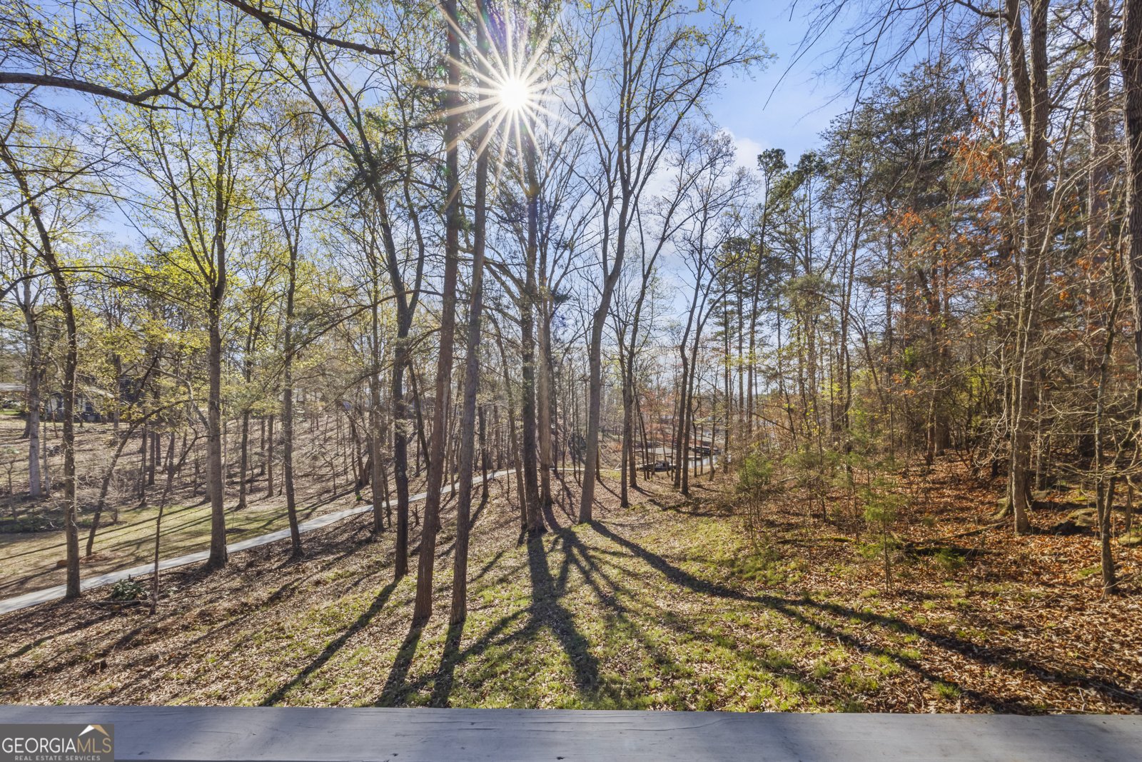 39 Jim Garvey Road Hartwell - Photo 36