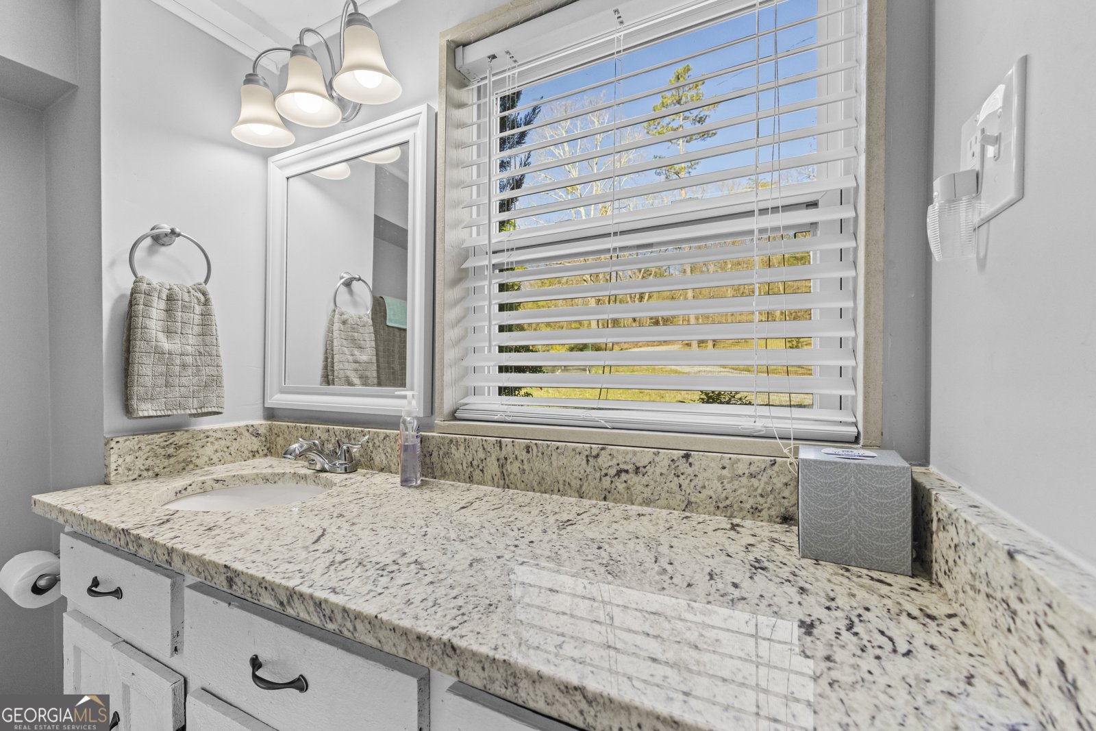 39 Jim Garvey Road Hartwell - Photo 46