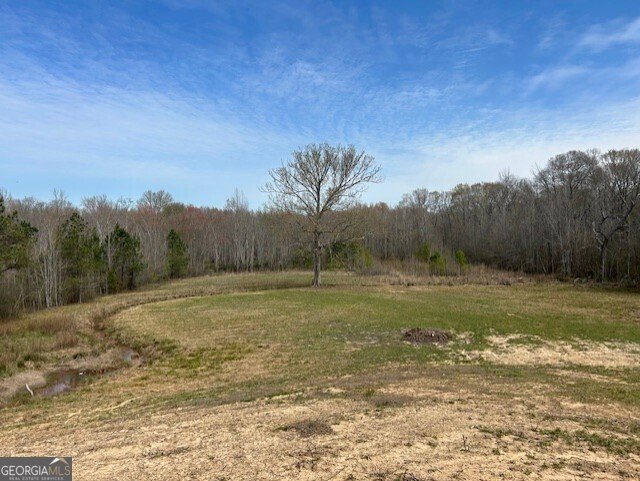 9902 Highway 16 Senoia - Photo 7