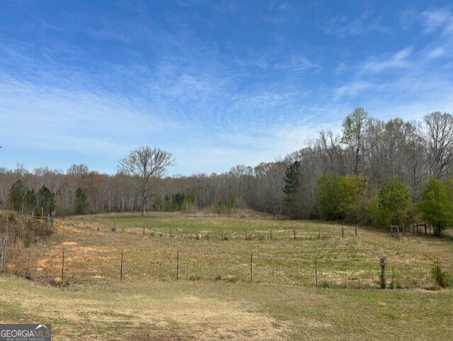 9902 Highway 16 Senoia - Photo 8