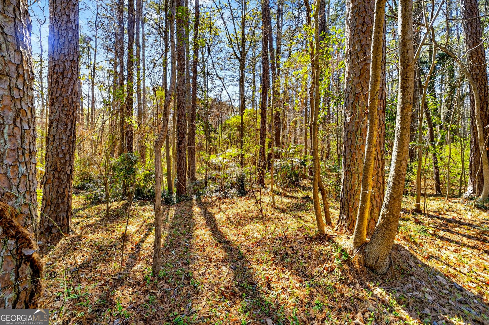 881 Rockbridge Road Lilburn - Photo 41