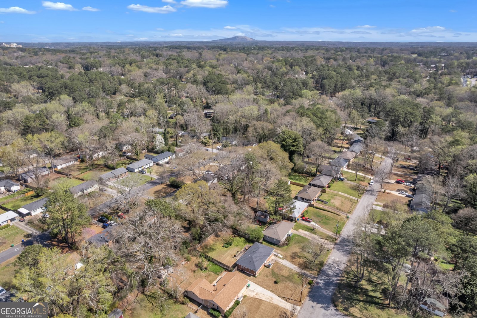 3226 Bobolink Drive Decatur - Photo 41