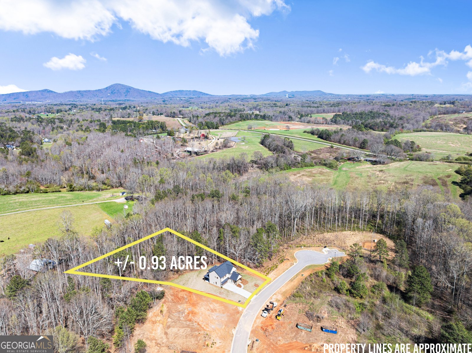 5437 Oak Manor Way Murrayville - Photo 34