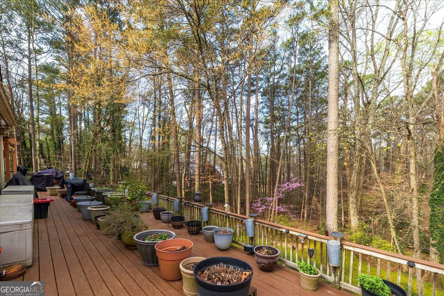 2010 Carrington Court Smoke Rise - Photo 23