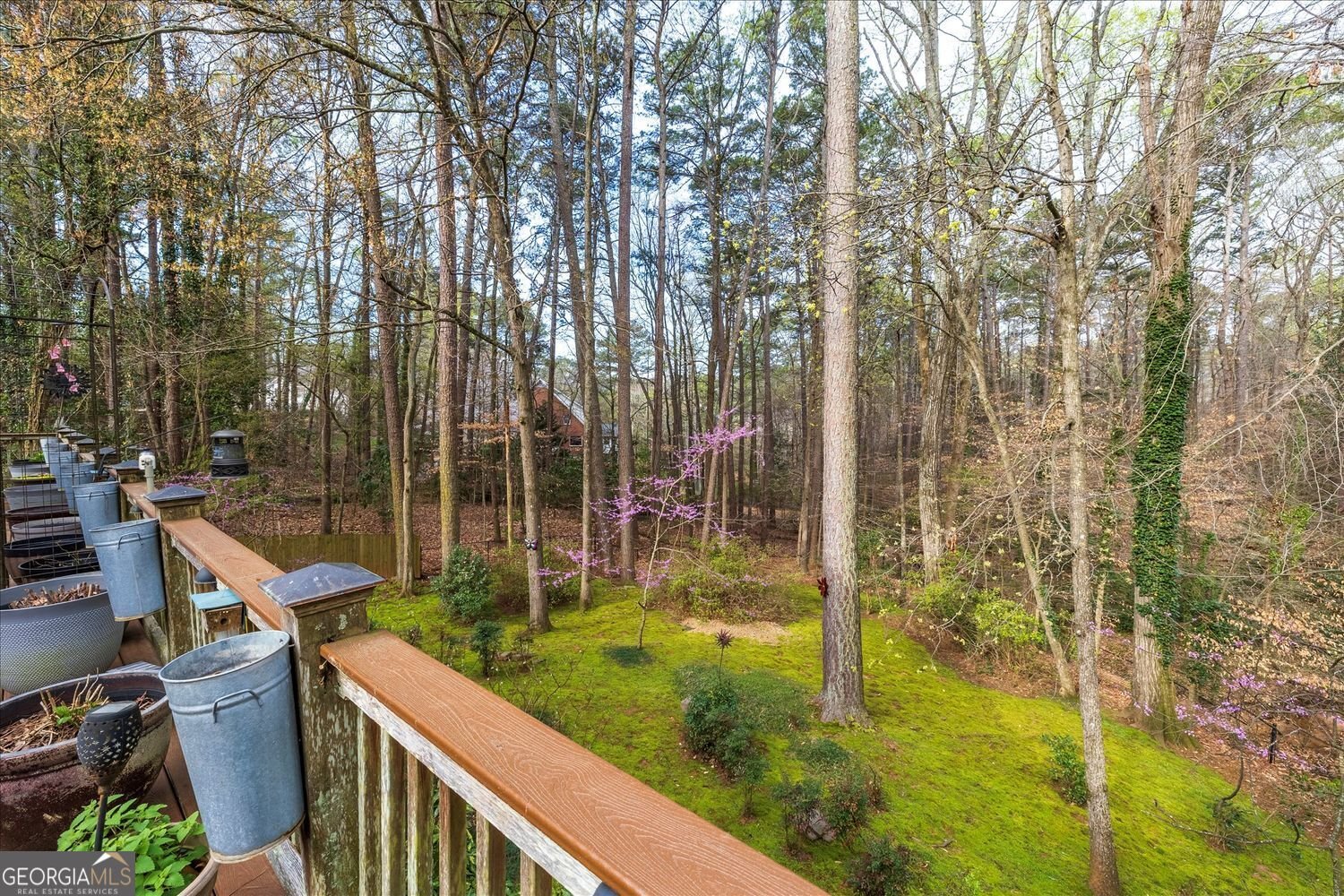 2010 Carrington Court Smoke Rise - Photo 24