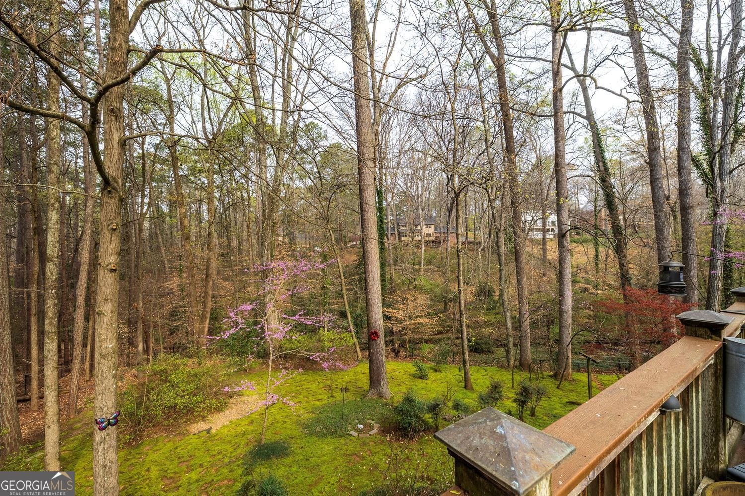 2010 Carrington Court Smoke Rise - Photo 25