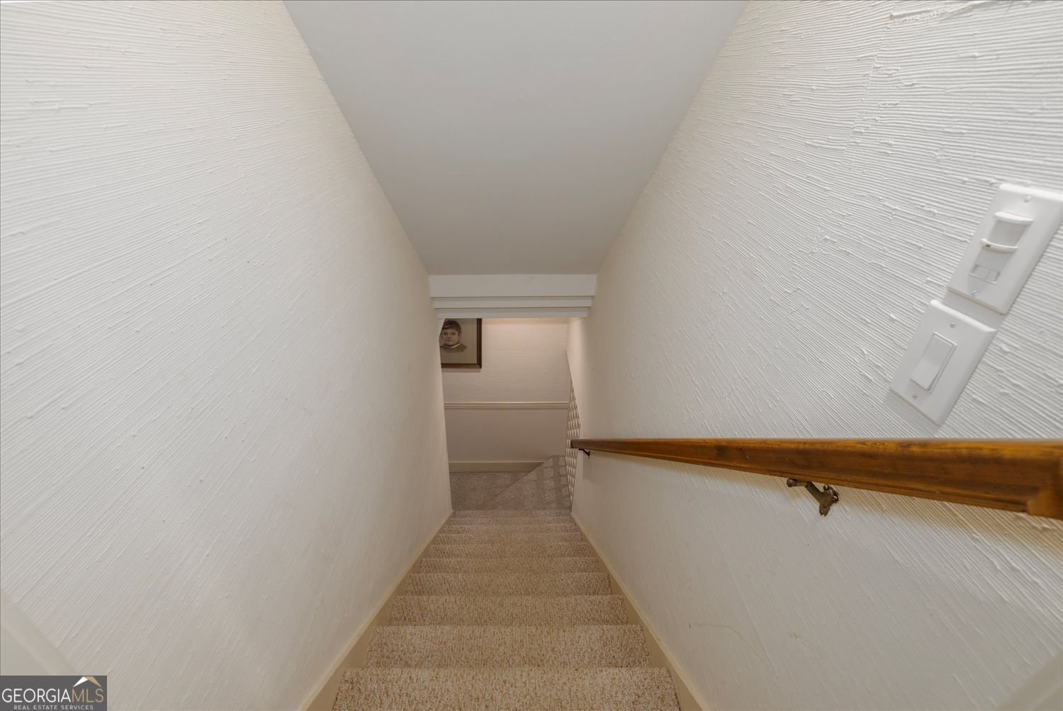 2010 Carrington Court Smoke Rise - Photo 35