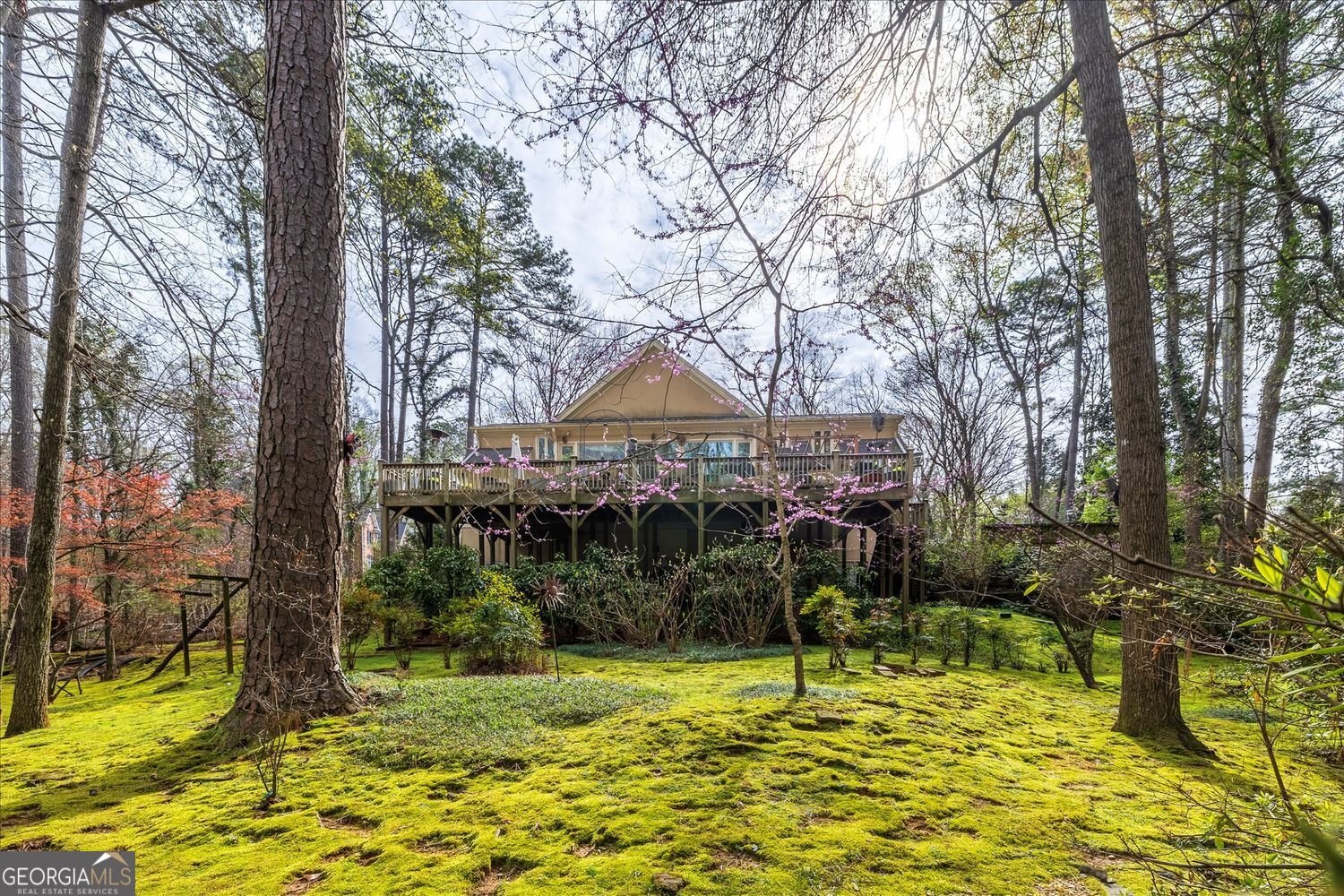 2010 Carrington Court Smoke Rise - Photo 46