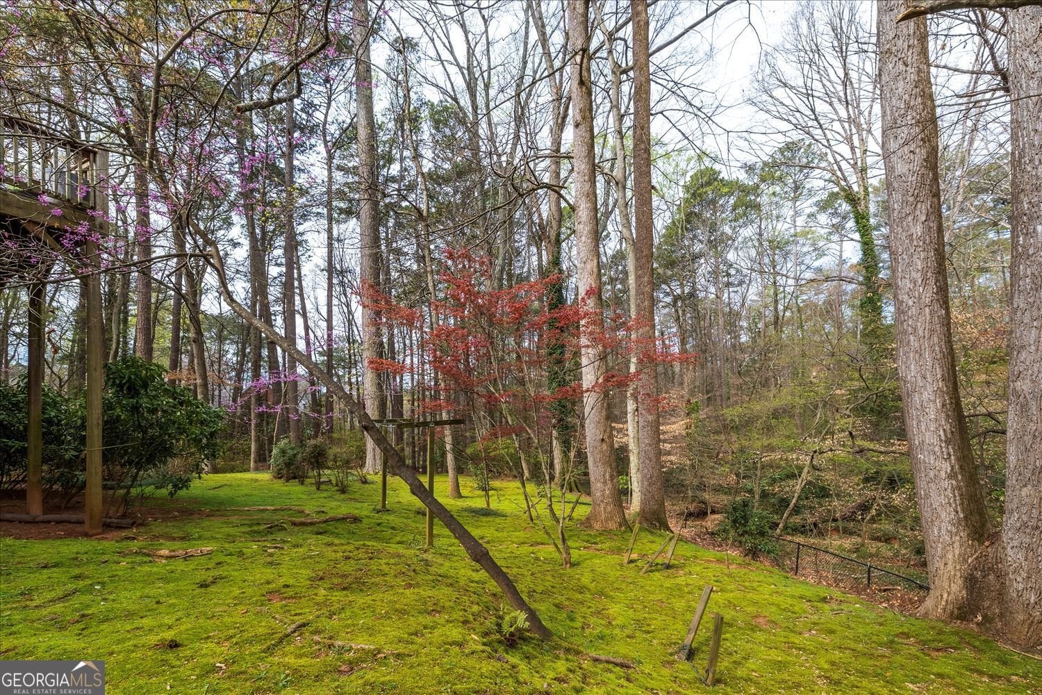 2010 Carrington Court Smoke Rise - Photo 47