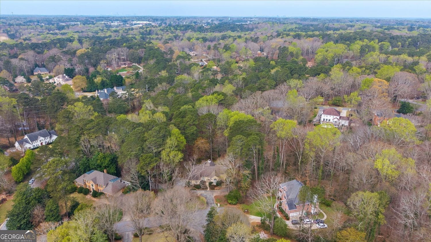 2010 Carrington Court Smoke Rise - Photo 49