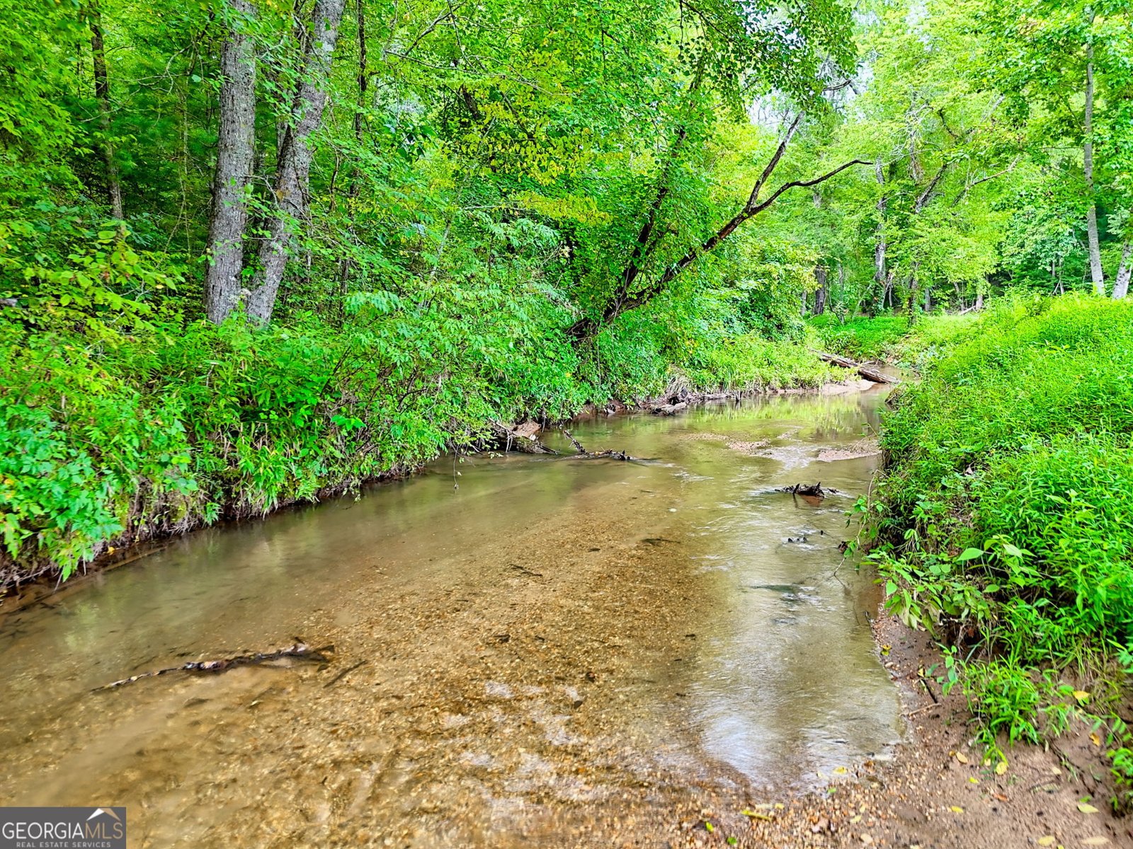63 Redwood Lane Tiger - Photo 82
