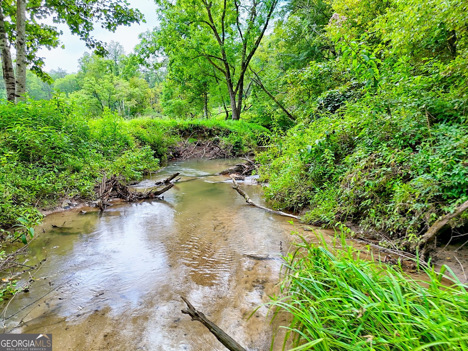 63 Redwood Lane Tiger - Photo 83